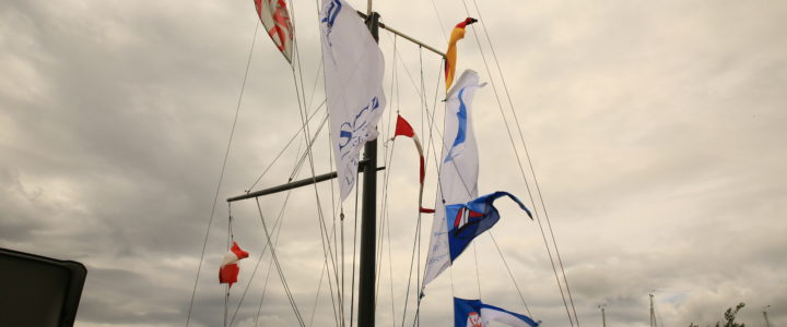Fotorückblick 2019 Neusiedlersee Fotorückblick 2019 Neusiedlersee